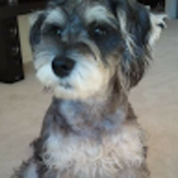 Meet your Posher, Eva - Picture 1 of 1